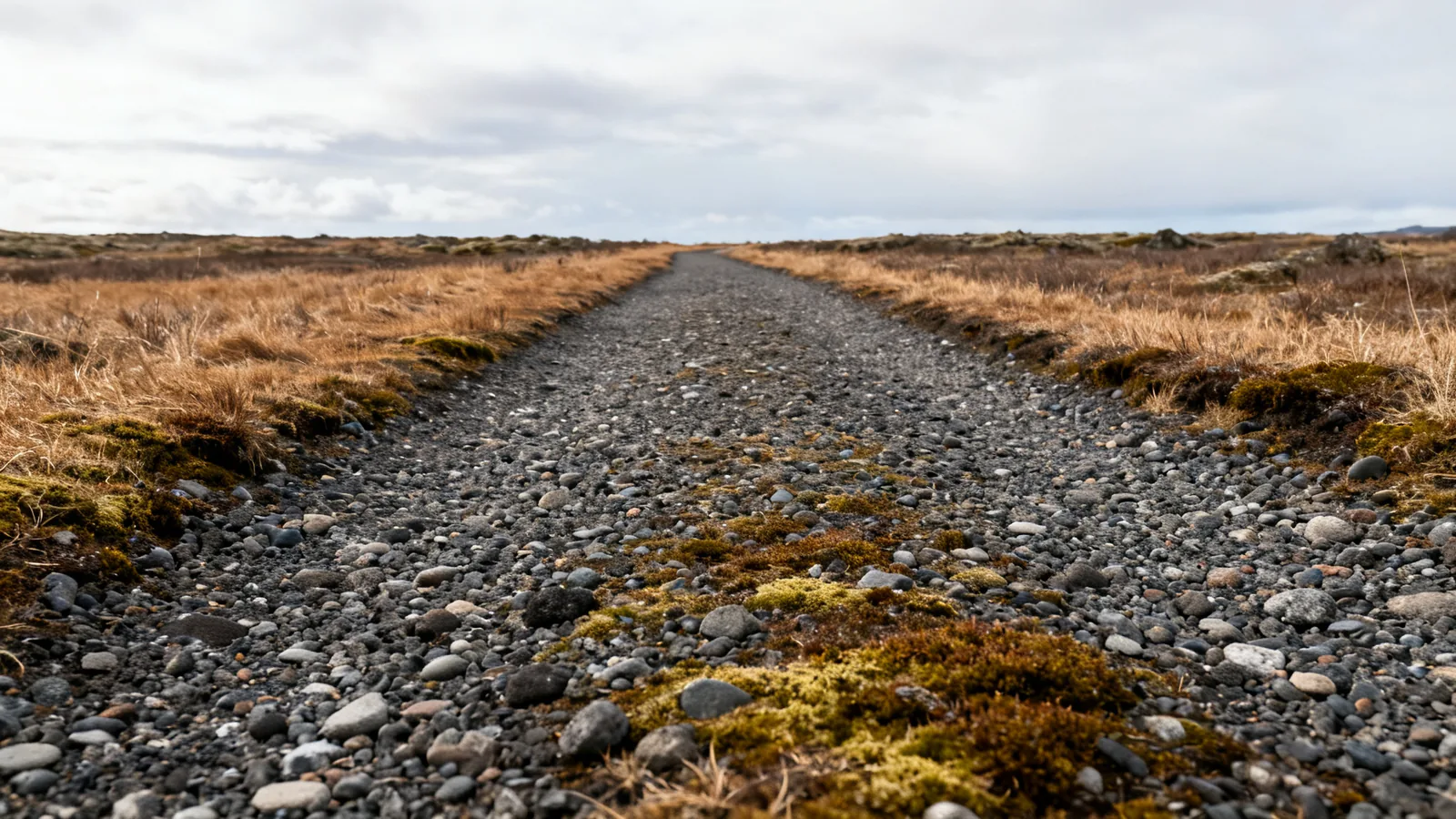 Anonymous gravel footpath with grass and moss